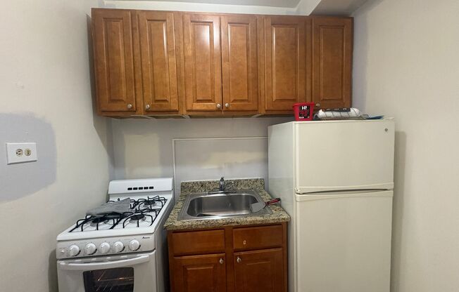 Studio, 1 bath, $1,095, Unit 107