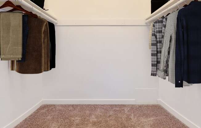 a closet with clothes hanging on the wall and a carpet