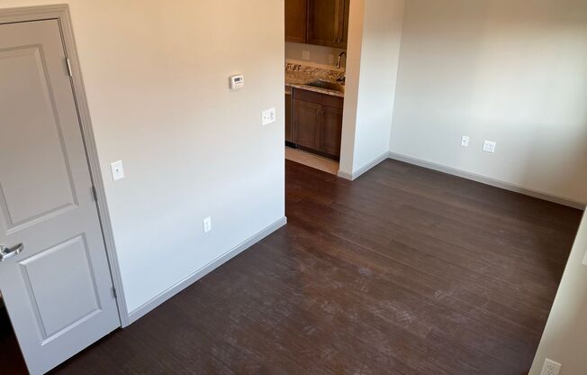 Studio, 1 bath, 384 sqft, $1,150, Unit 313