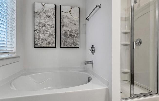 a bathroom with a shower and a bath tub