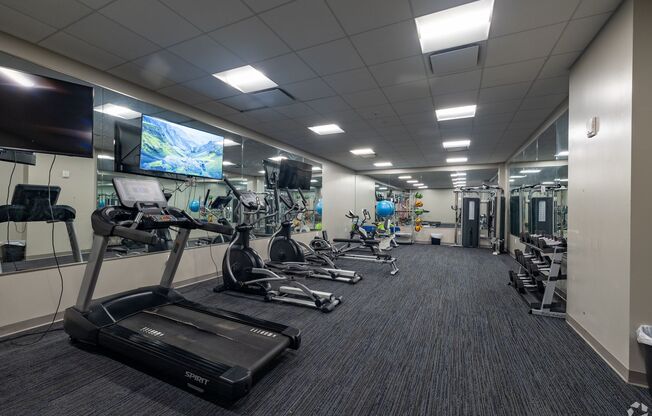 1 bed, 1 bath, 503 sqft, $1,400, Unit 301