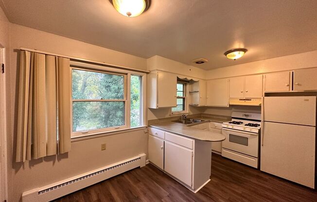 3729 Oakland #3 - 2 Bed/1 Bath Near WMU/K College