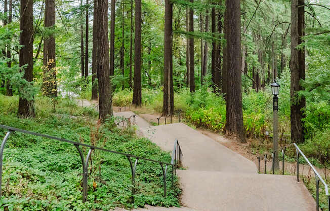 A forest path with a lamp post on the side.