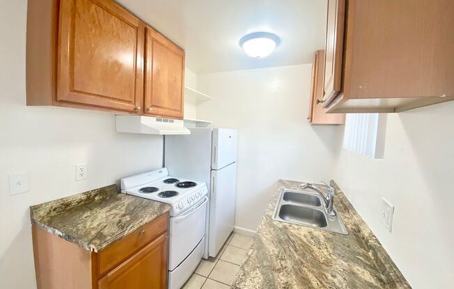 Euclid (Saulo Trust)