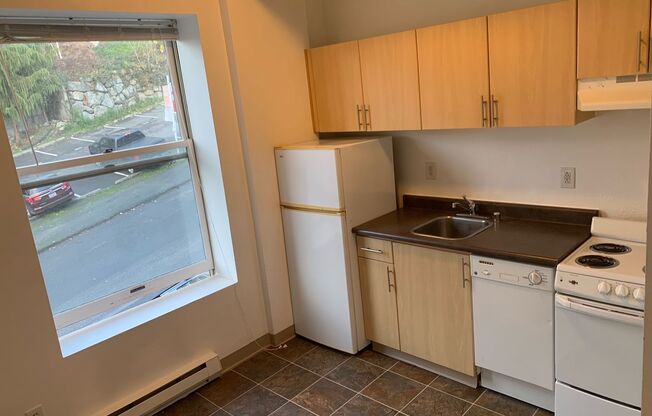 Studio, 1 bath, 315 sqft, $1,200