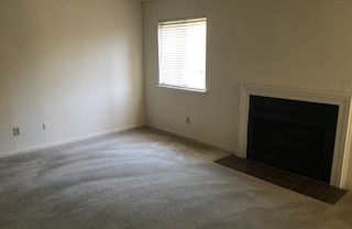 1 bed, 1 bath, $1,290