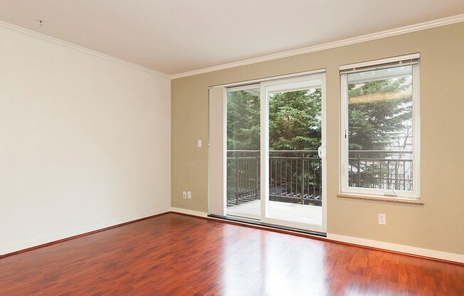 1 bed, 1 bath, 537 sqft, $1,995, Unit #509