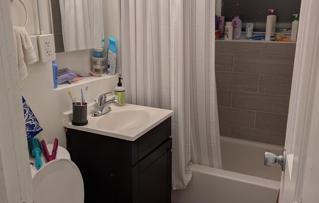1 bed, 1 bath, $2,900, Unit 3
