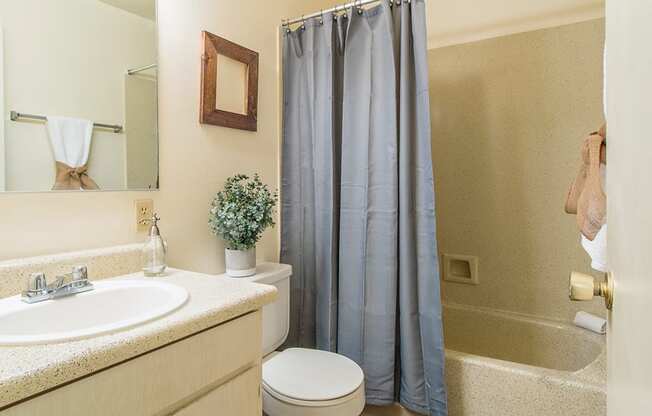 Tanglewood bathroom with vanity sink and shower tub combo