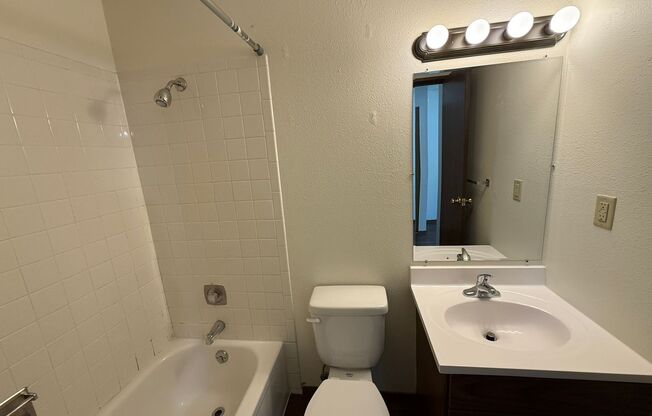 Studio, 1 bath, 300 sqft, $585, Unit 2537-22