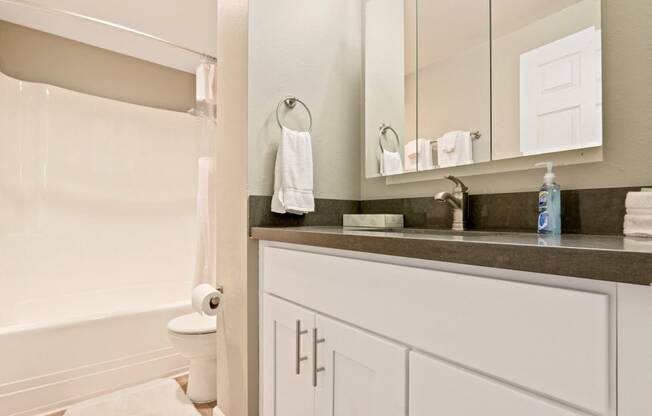 Bathroom with single vanity, gray quartz counters, hot tub and shower combo