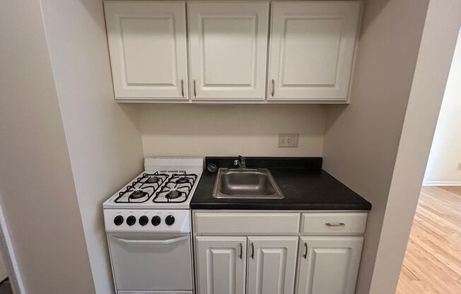 Studio, 1 bath, $825, Unit 111