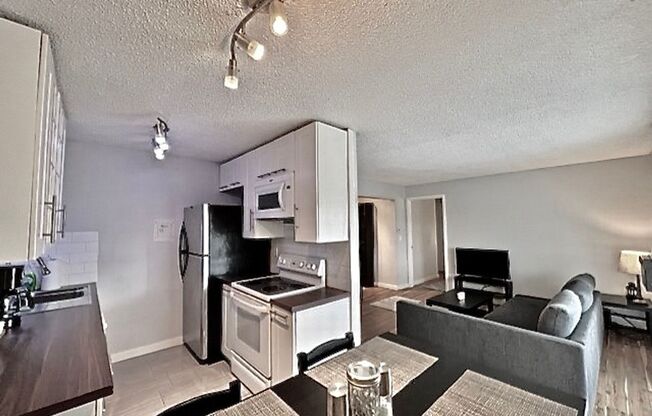 Furnished Cozy 1 Bedroom / 1 Bath Condo - Utilities Included