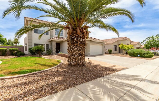 ELEGANT in Chandler!  6/bed 3 bath and 3 car garage!