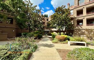 Now Offering December Rent Free!