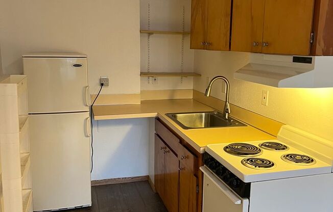 Studio, 1 bath, 311 sqft, $1,250, Unit W01