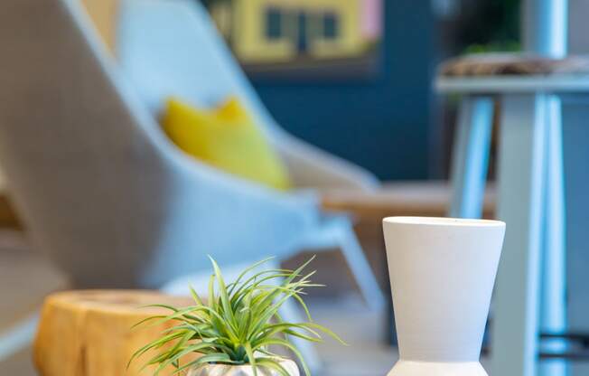 a table with a vase and a plant on it at 511 Meeting, Charleston, 29403