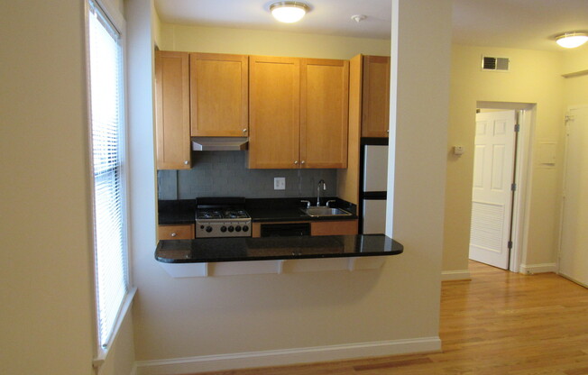 Studio, 1 bath, 407 sqft, $2,050, Unit H616