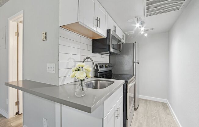 Studio, 1 bath, 350 sqft, $799, Unit 402