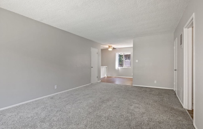 Welcome to Roxanne Apartments