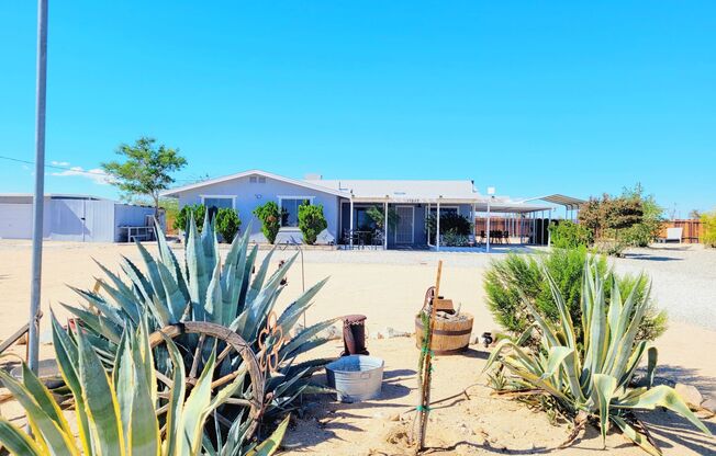 Desert Oasis Home