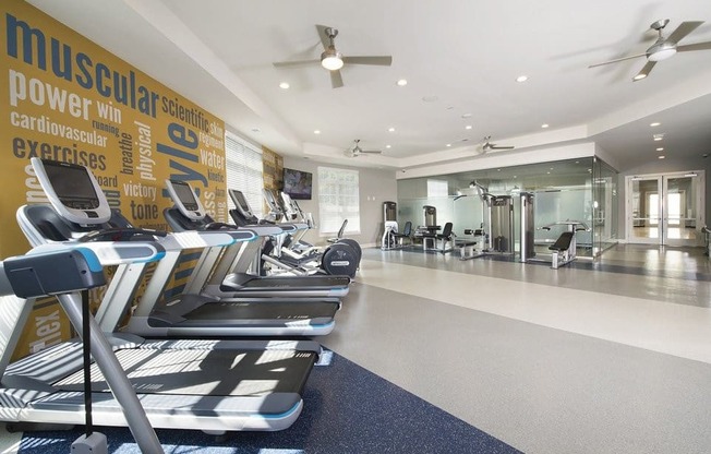 Professional fitness studio with yoga zone, virtual trainer and boxing station