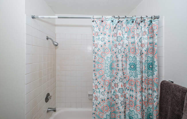 a bathroom with a shower and a bathtub