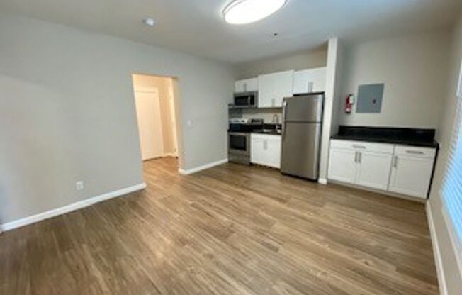 1 bed, 1 bath, 420 sqft, $1,350, Unit 313