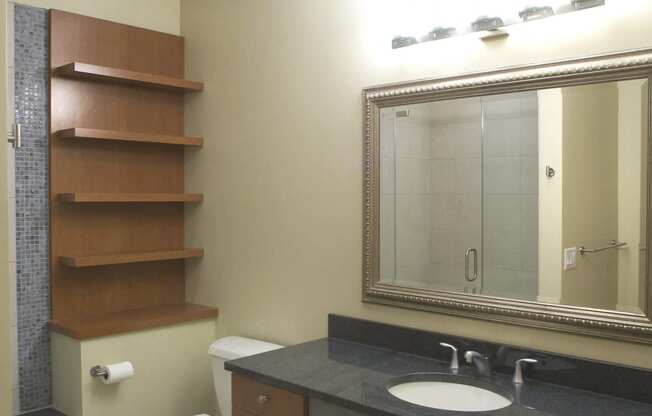 a bathroom with a toilet and a sink and a mirror