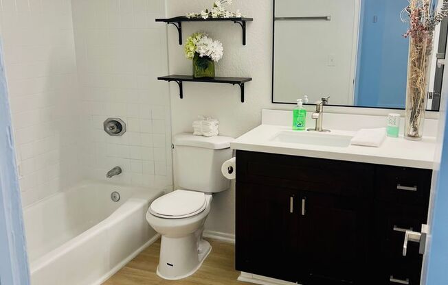 1 bed, 1 bath, 720 sqft, $1,095, Unit 211