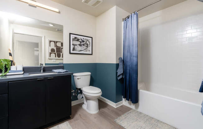 A bathroom with a white toilet and a black cabinet.