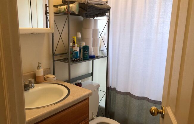 1B/1B Pet Friendly Apartment South of BYU