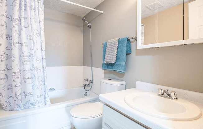 a bathroom with a sink toilet and bath tub and a shower curtain