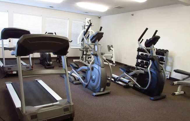 A gym with treadmill, exercise bike and other equipment.