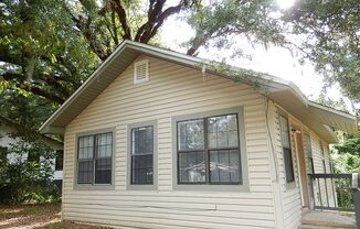 RENOVATED NW 3/1 House w/ Newer Paint & Plank Floors! Mins from FSU, TCC, & Downtown! Available July 1st $1175/month!