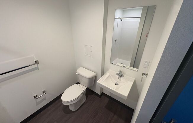 Studio, 1 bath, 239 sqft, $995, Unit Z-210