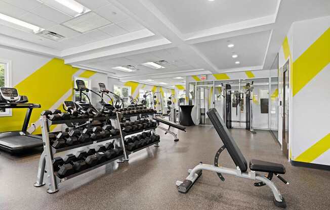 A gym with a variety of equipment including weights and a bench.
