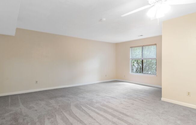 3 Bed/2 Bath Pet Friendly Bus Route. Parking.