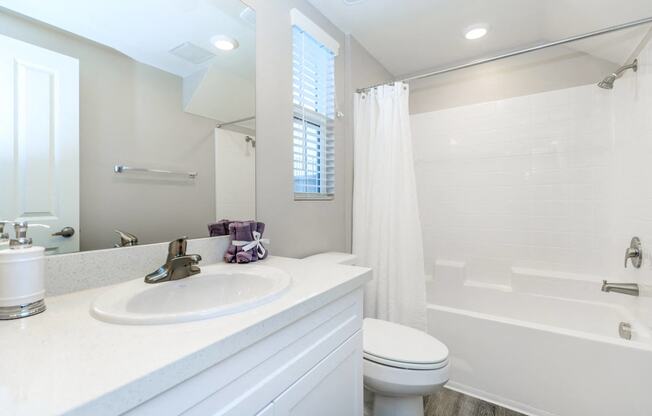 a bathroom with a sink toilet and a shower