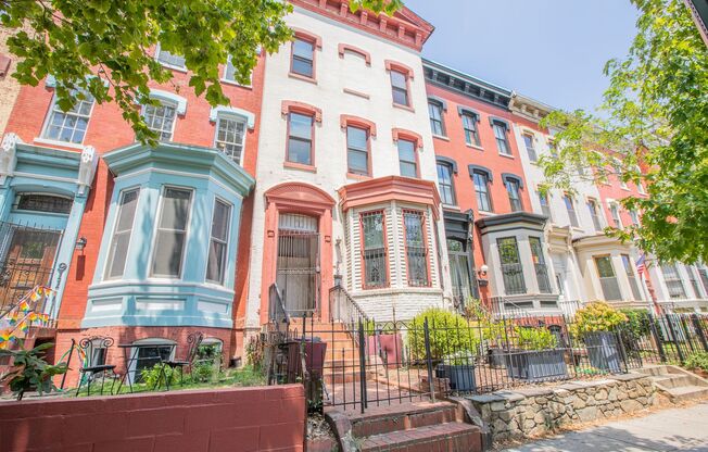 Charming 1 BR/1 BA Apartment in Shaw!