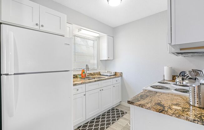 Centrally located 1 bed 1 bath in Tampa, pet-friendly!