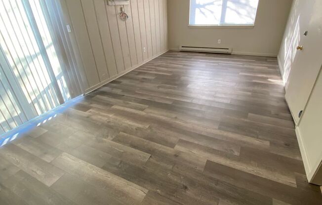 Newly Renovated 2 Bedroom Apt in Columbia