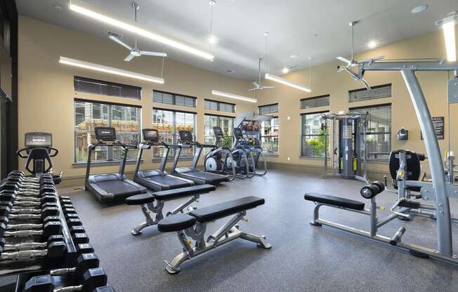 a gym with cardio equipment and weights at the enclave at university heights