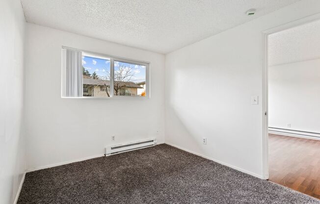 1 bed, 1 bath, 500 sqft, $1,195, Unit 43