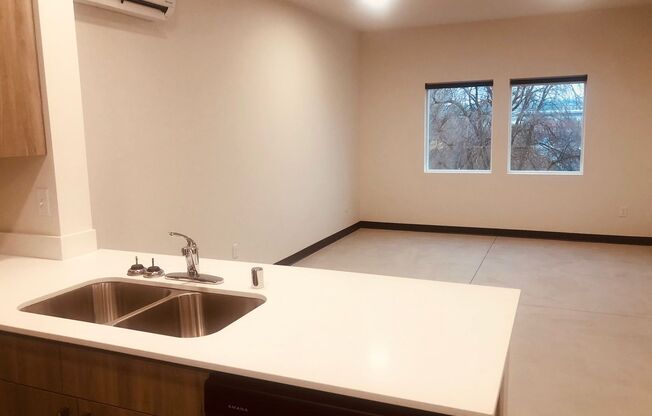 1 bed, 1 bath, 700 sqft, $1,295, Unit Unit 206