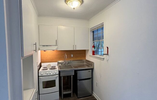 1 bed, 1 bath, 300 sqft, $550, Unit Unit 234