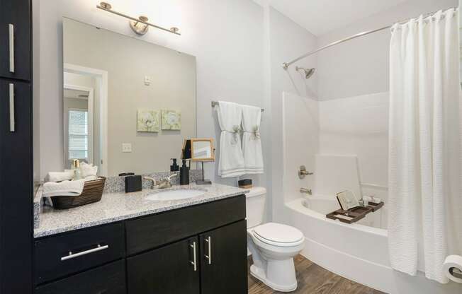 a bathroom with a shower toilet and sink and a mirror