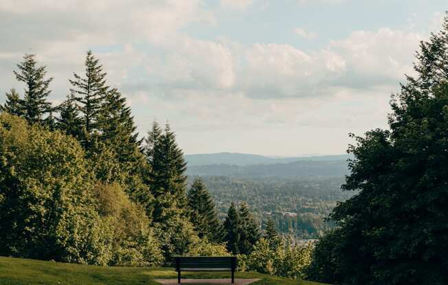 a park bench on a hill with a view of the city