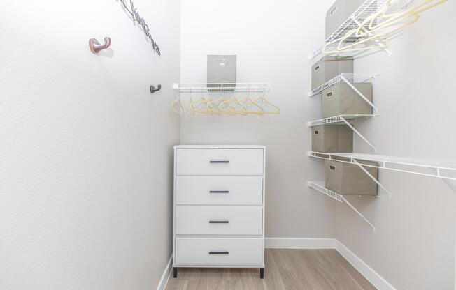 Spacious Closet