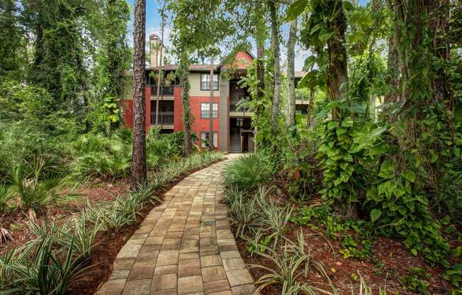 a path leading to a house in the woods